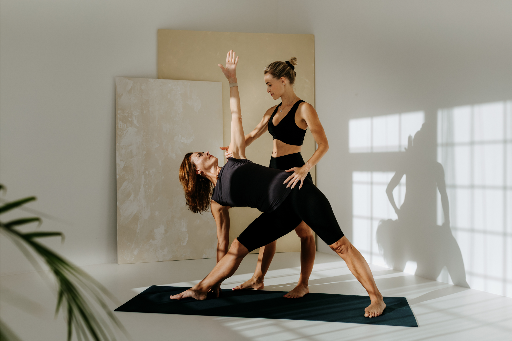 The Alignment - Bespoke Movement Protocol