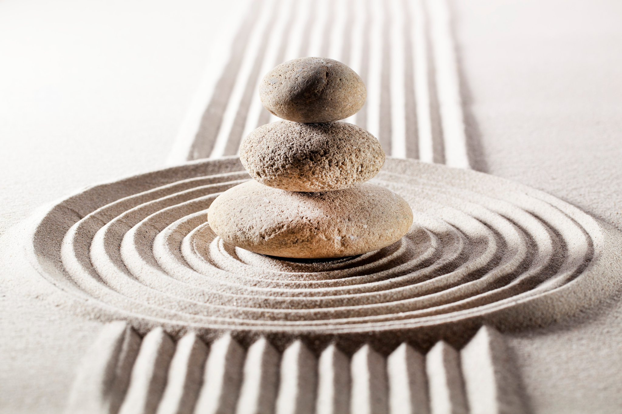 The Stillness - Yoga Nidra & Meditation